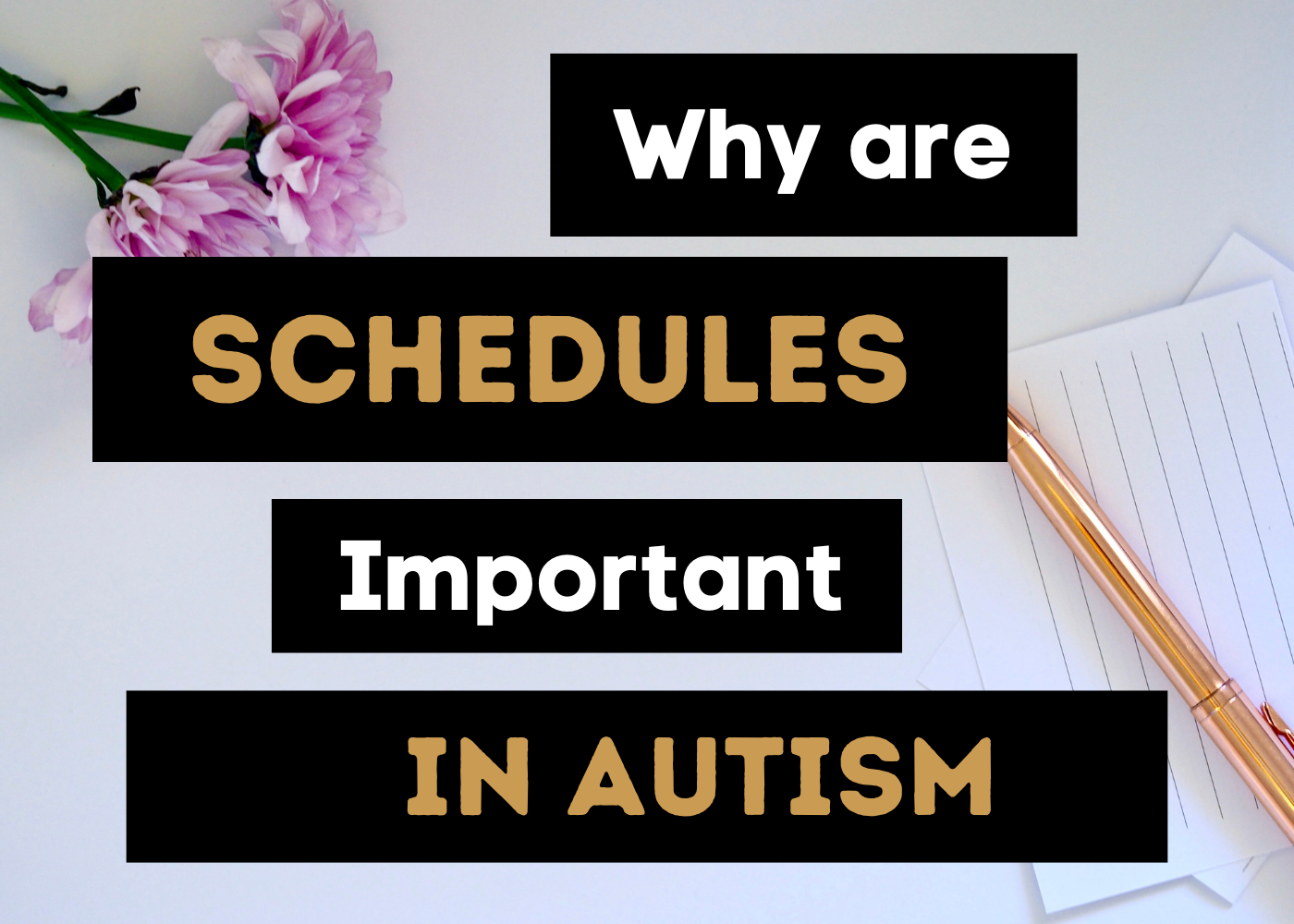 Why Are Schedules Important for People with Autism?